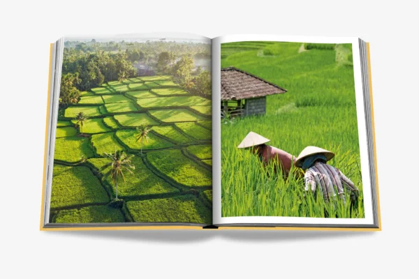 Livre Bali Mystique - Assouline – Image 4